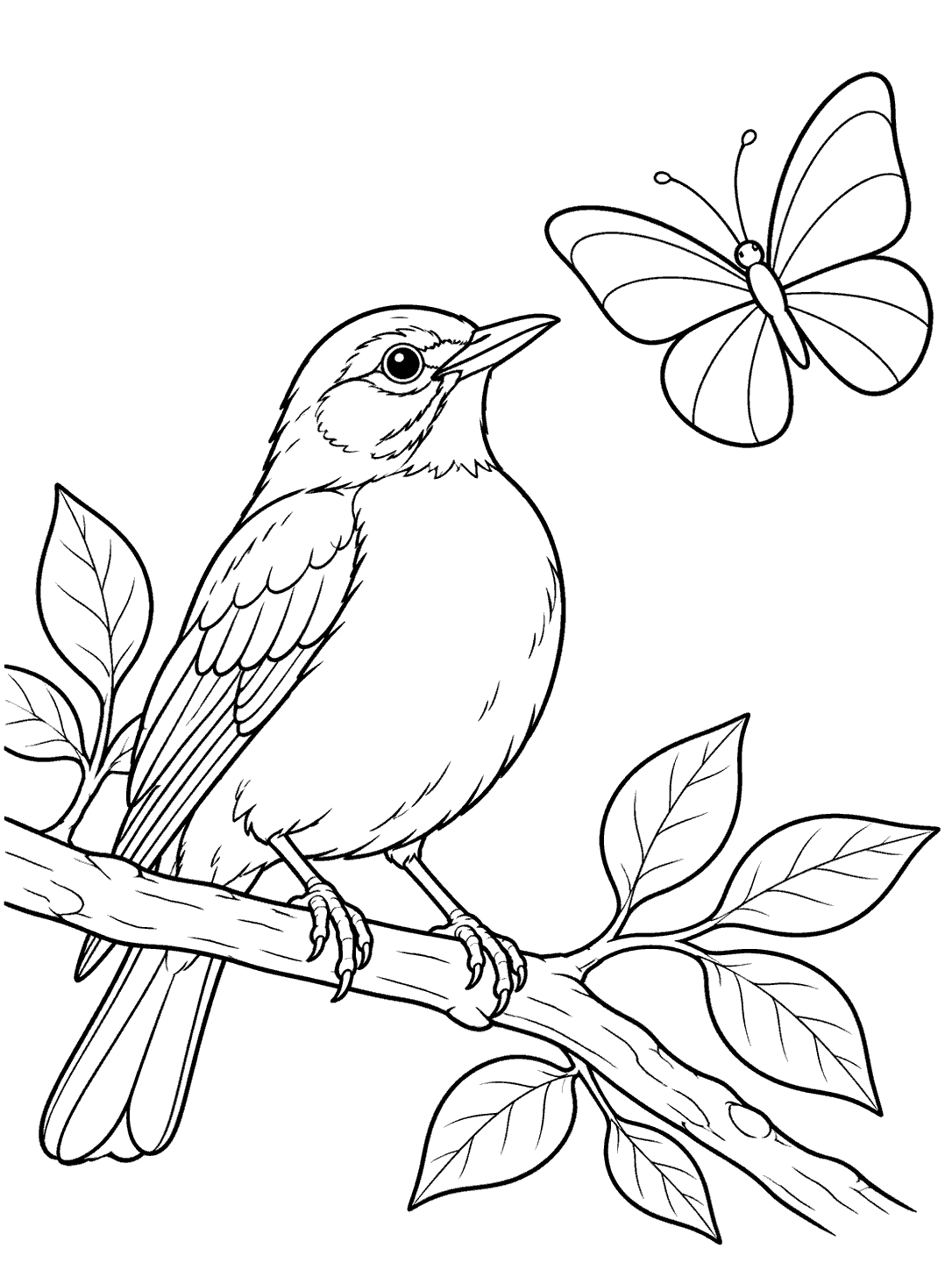 Black-outline coloring page of a robin perched on a leafy branch beside a large butterfly.