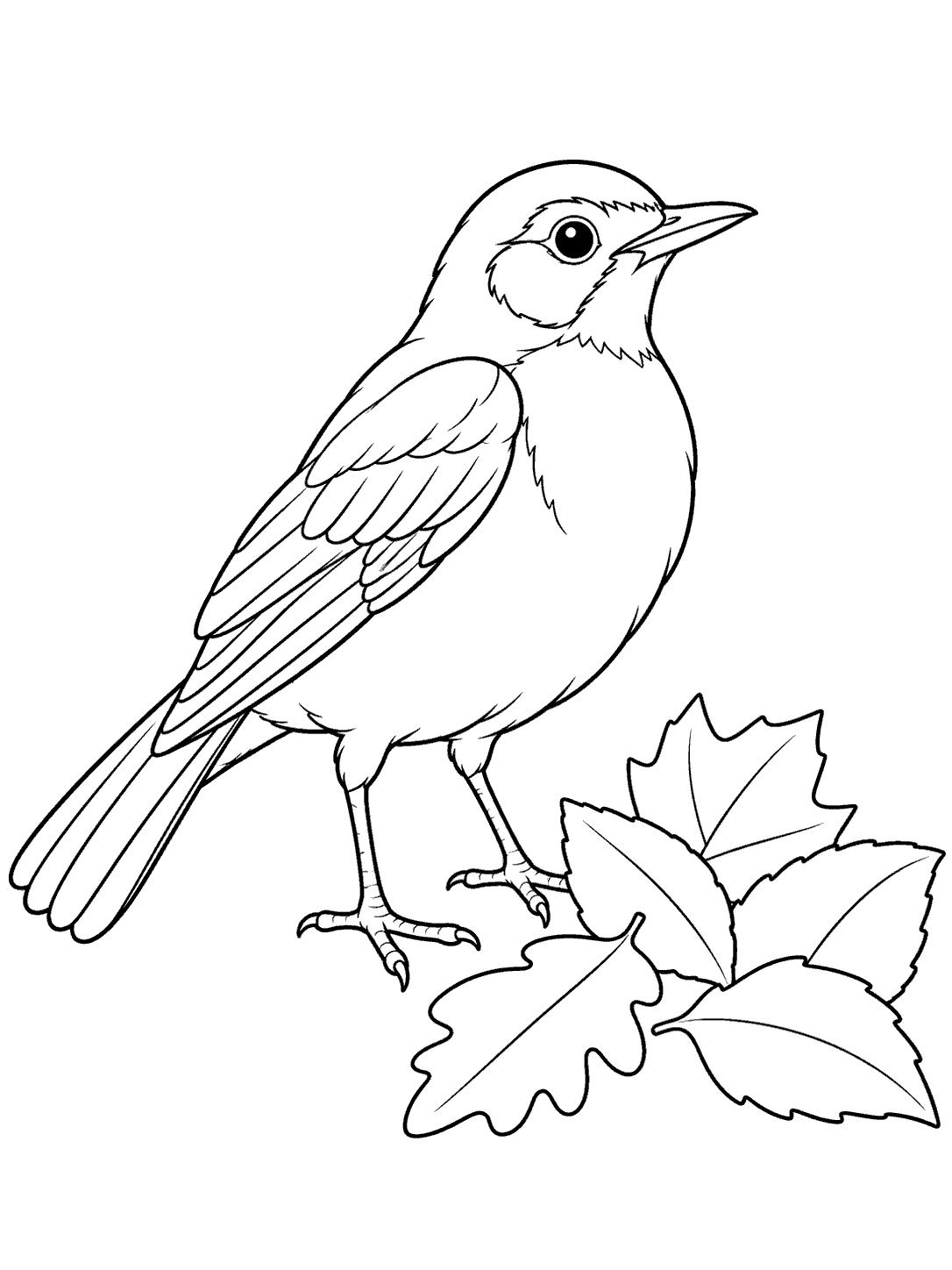 Black outline coloring page of a robin standing beside five fallen leaves.