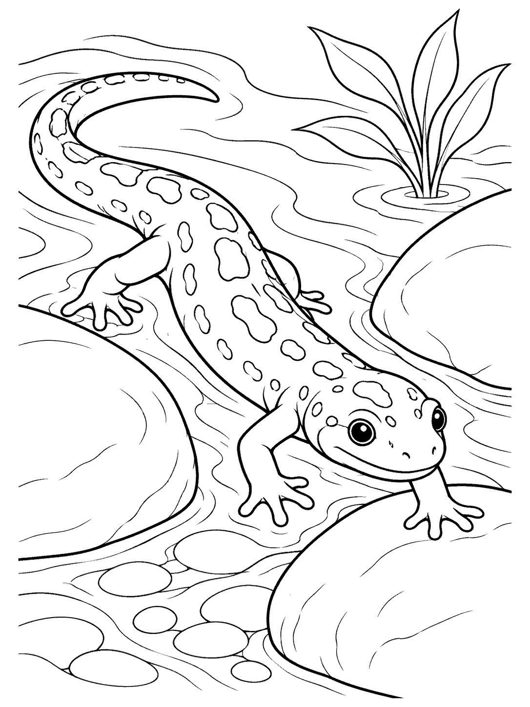 Spotted salamander with four visible legs moving between rounded stream stones beside a water plant