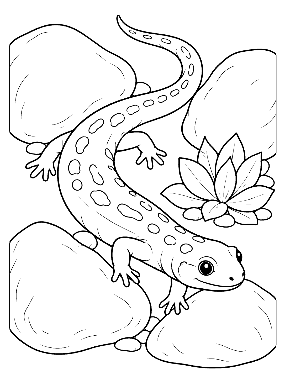 A spotted salamander curves between four smooth rocks beside a broad-leaved succulent.
