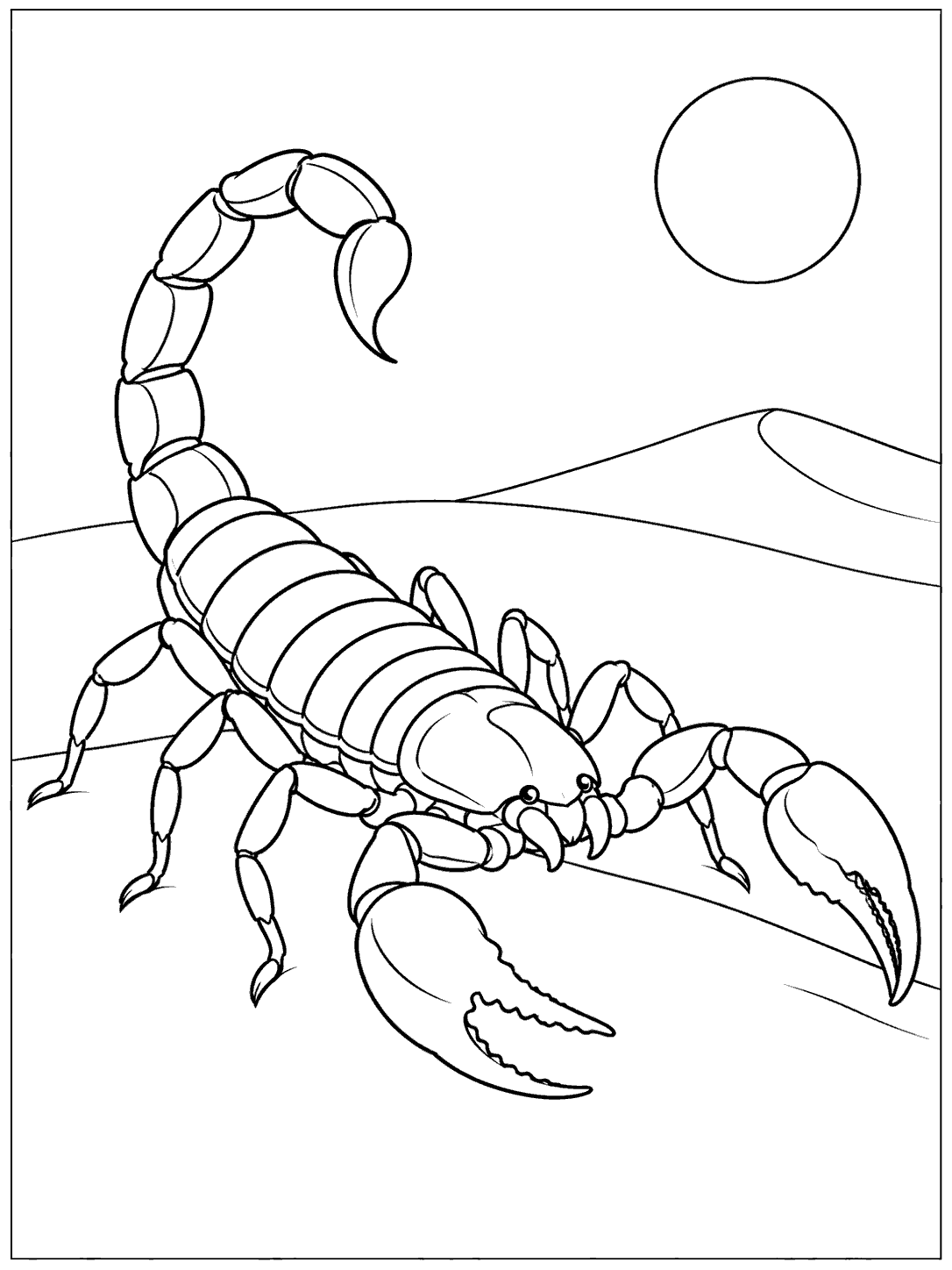 Printable scorpion coloring page showing a scorpion crossing a desert dune, with its segmented body, eight legs, two pincers, and raised stinger clearly outlined.