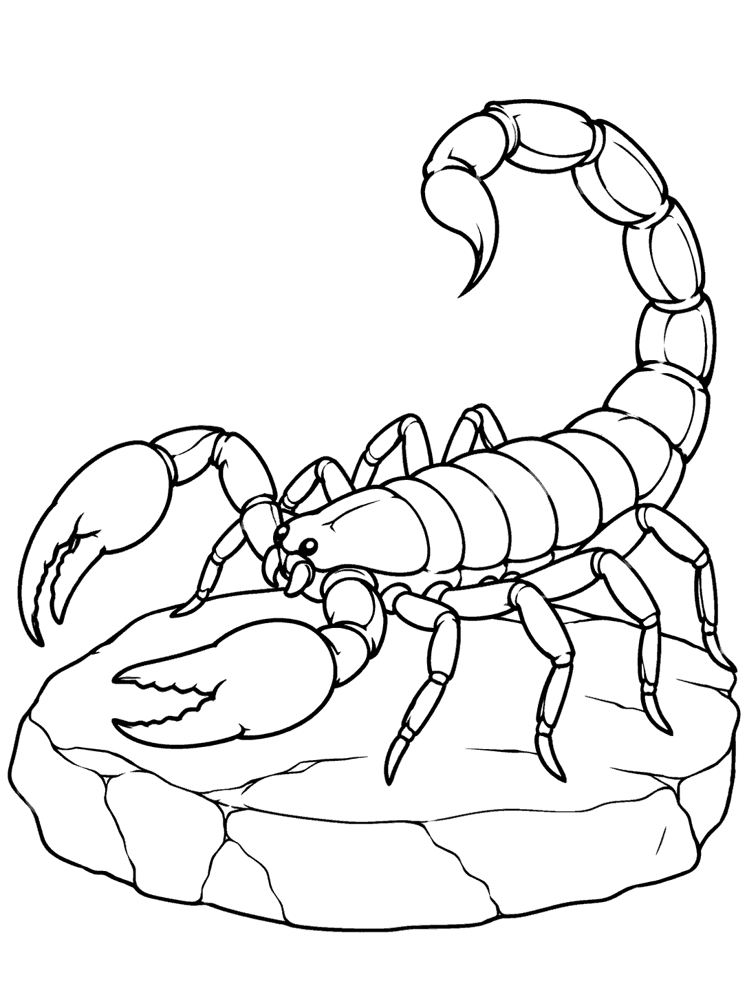 Printable scorpion perched on a flat rock coloring page