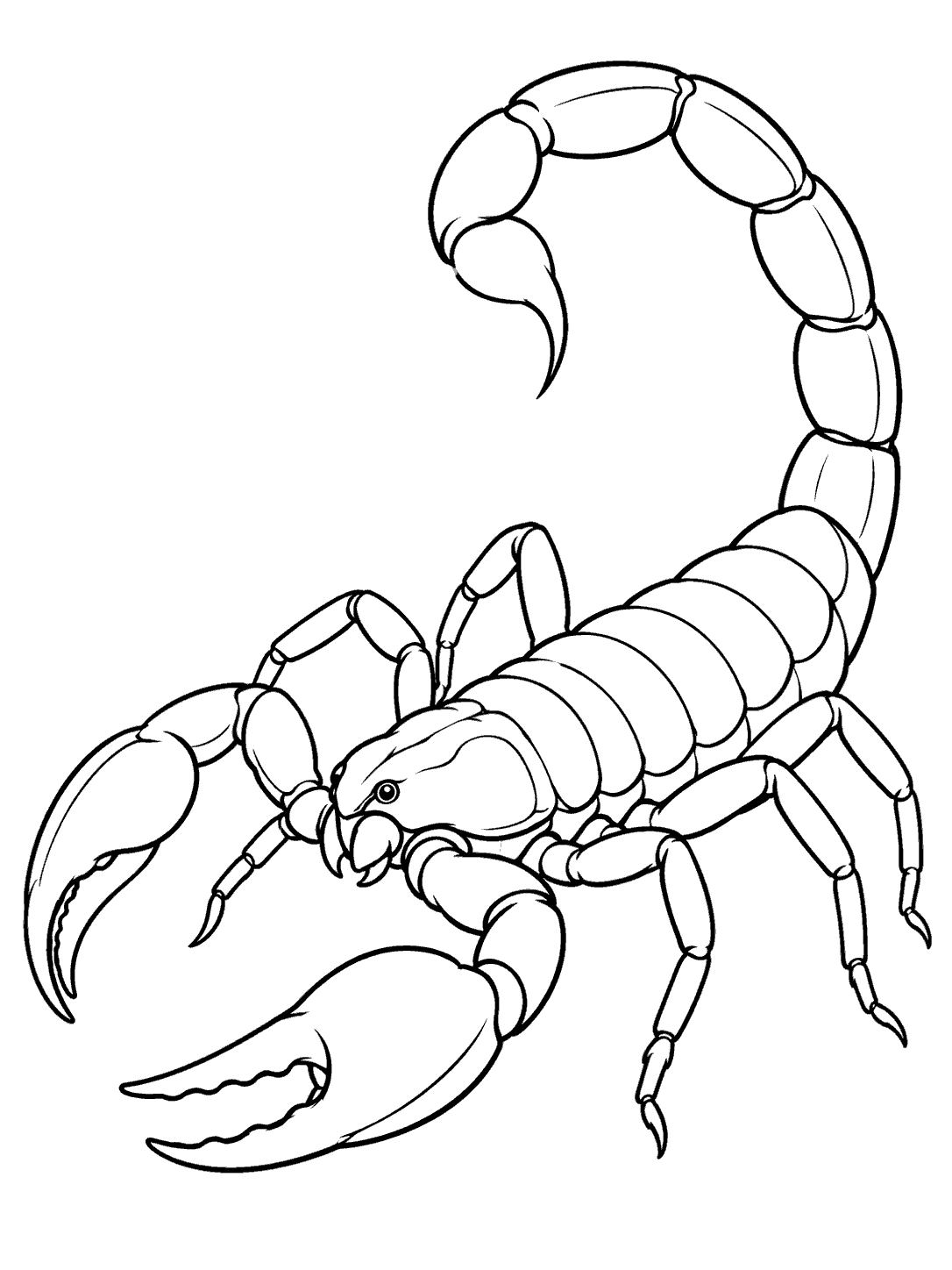 Scorpion coloring page with a segmented spiral tail, pincers, and eight legs