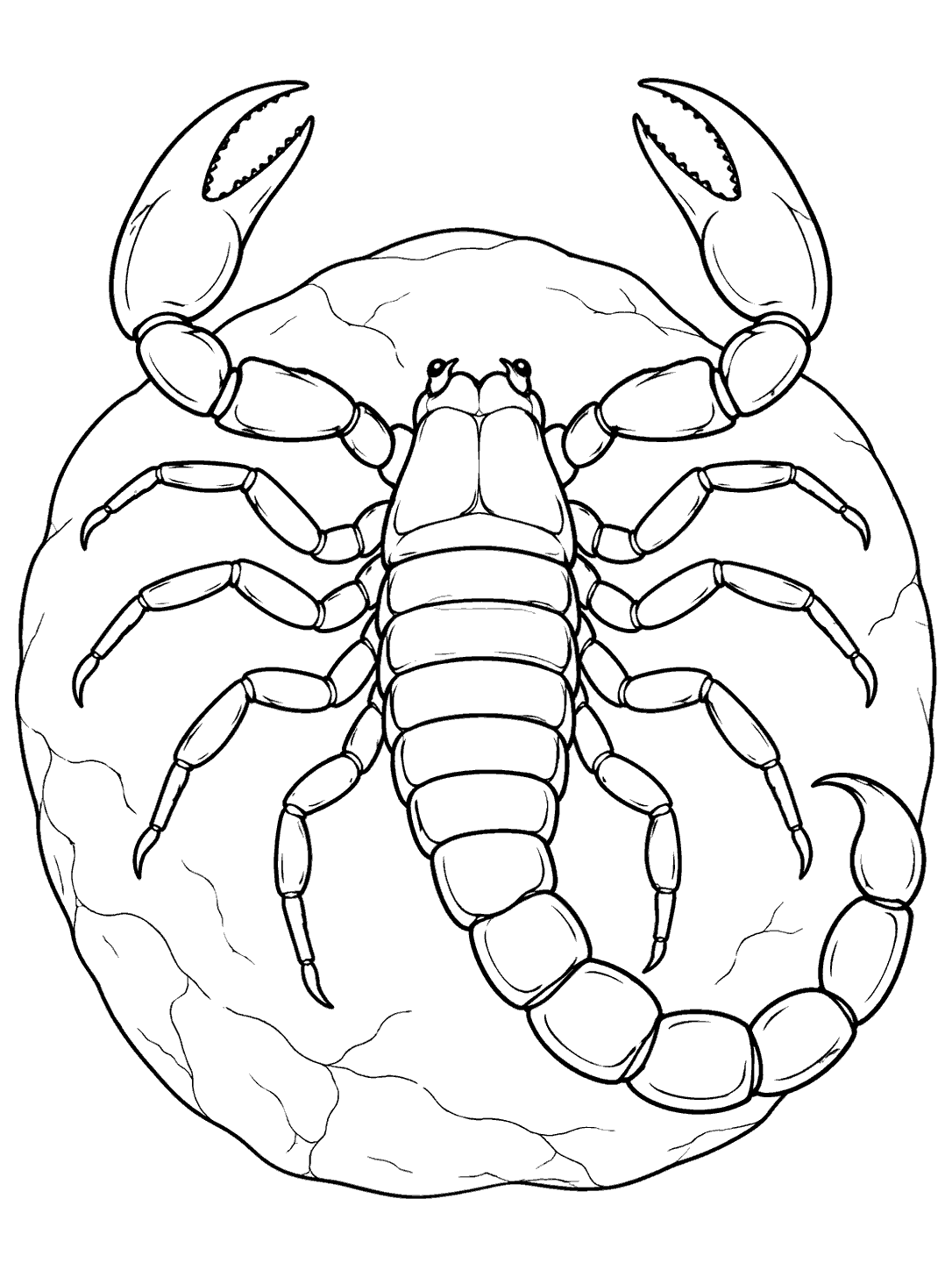 Top-view scorpion resting on a round stone coloring page
