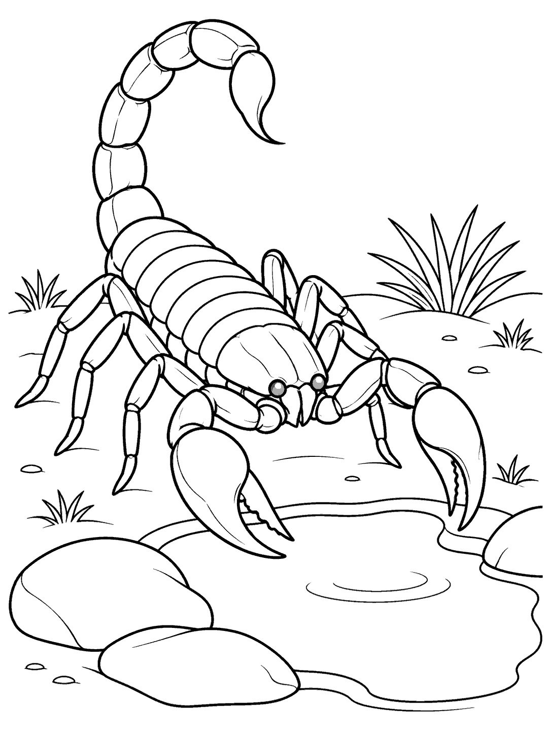 Scorpion near a desert pool printable coloring page