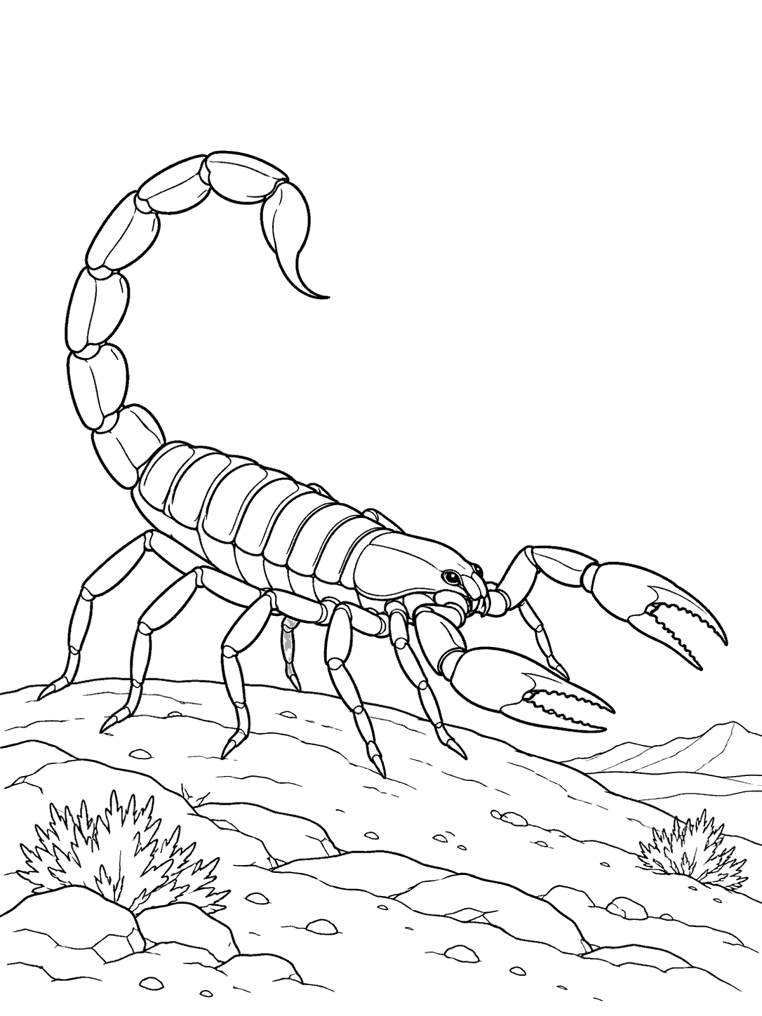 Scorpion with a raised tail on a desert ridge coloring page