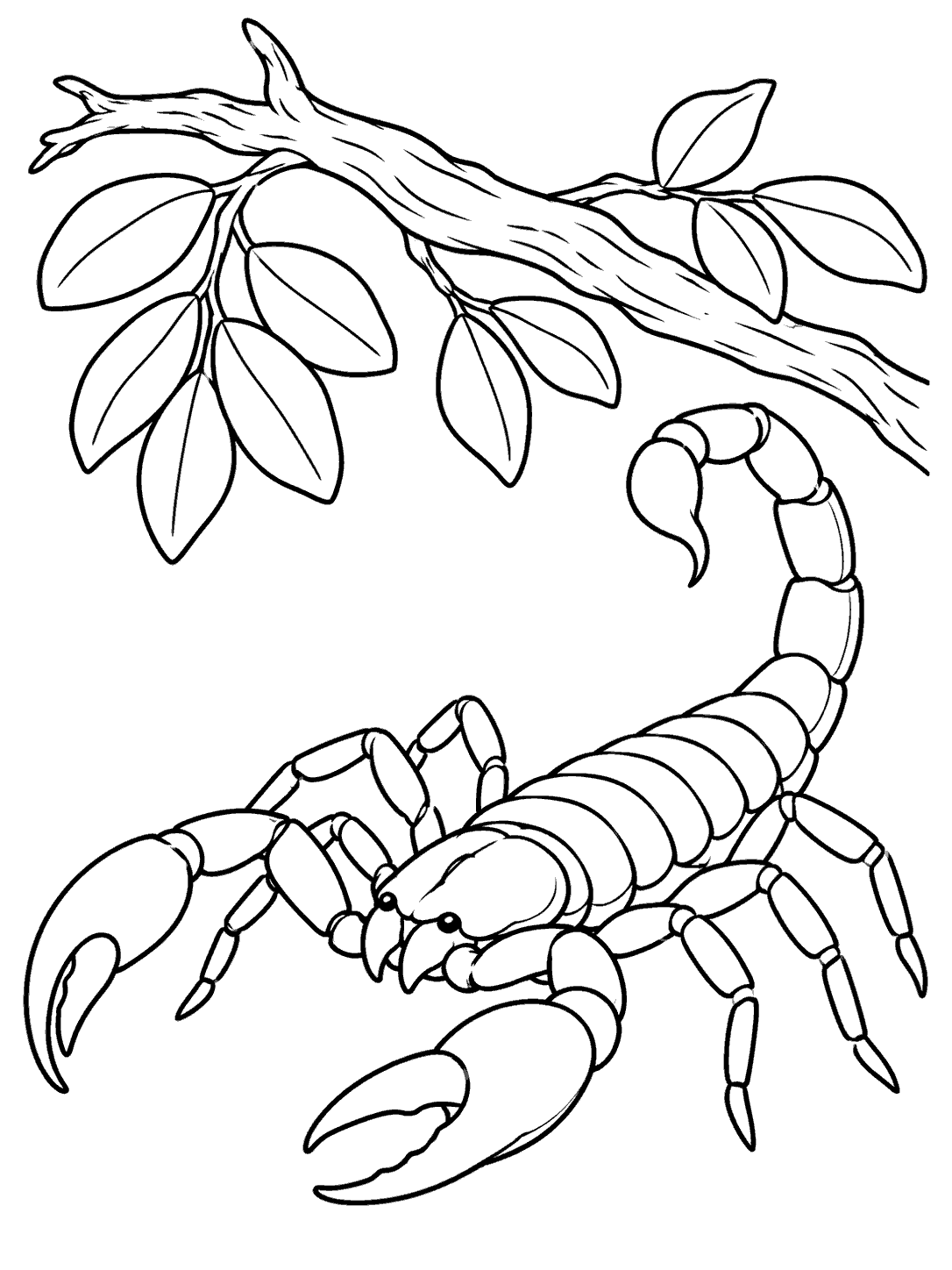 Scorpion beneath a leafy fallen mesquite branch coloring page
