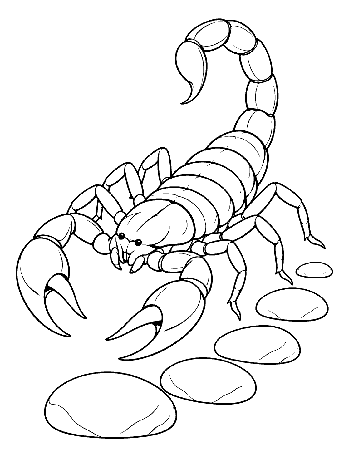 Scorpion following a pebble trail coloring page