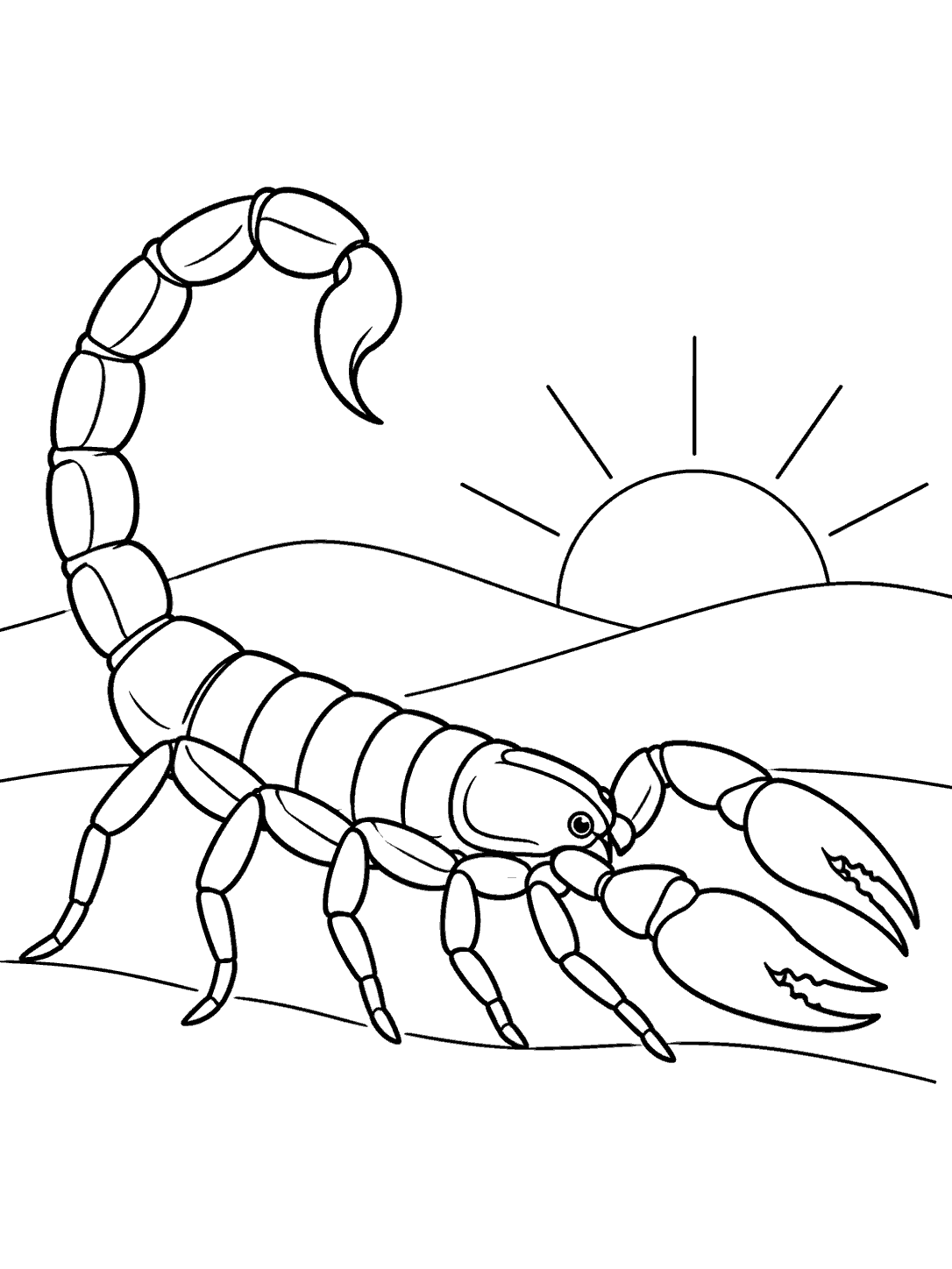 Scorpion with a curled tail on dunes at sunrise coloring page