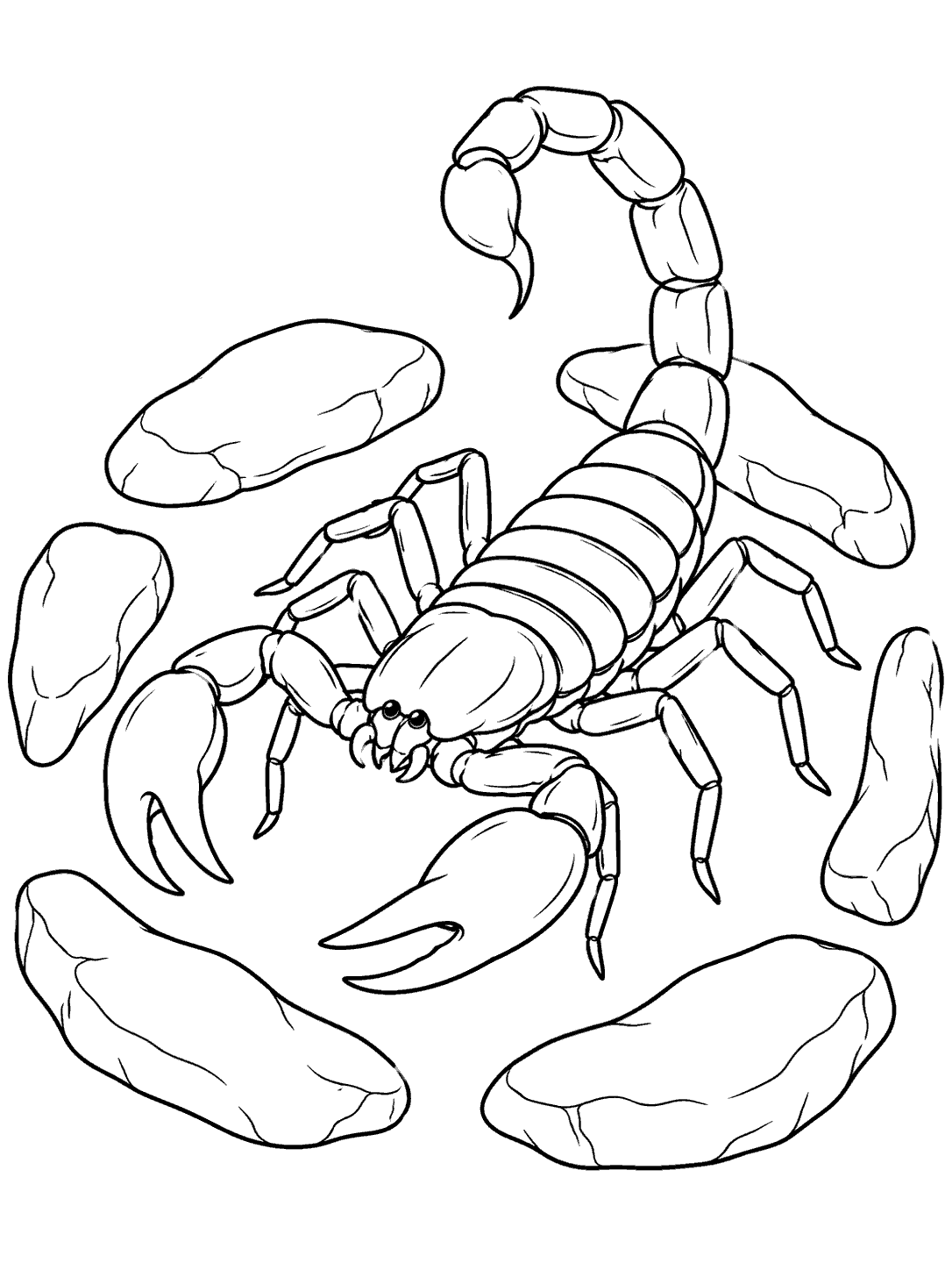 Black-and-white scorpion coloring page with a raised segmented tail and six flat stones forming a loose circle.