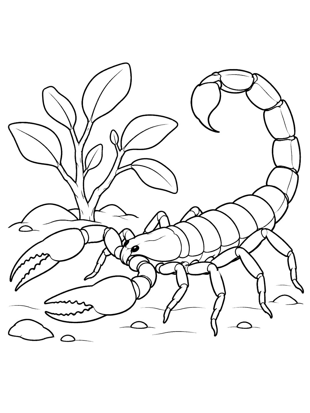 Scorpion beside a branching desert plant coloring page