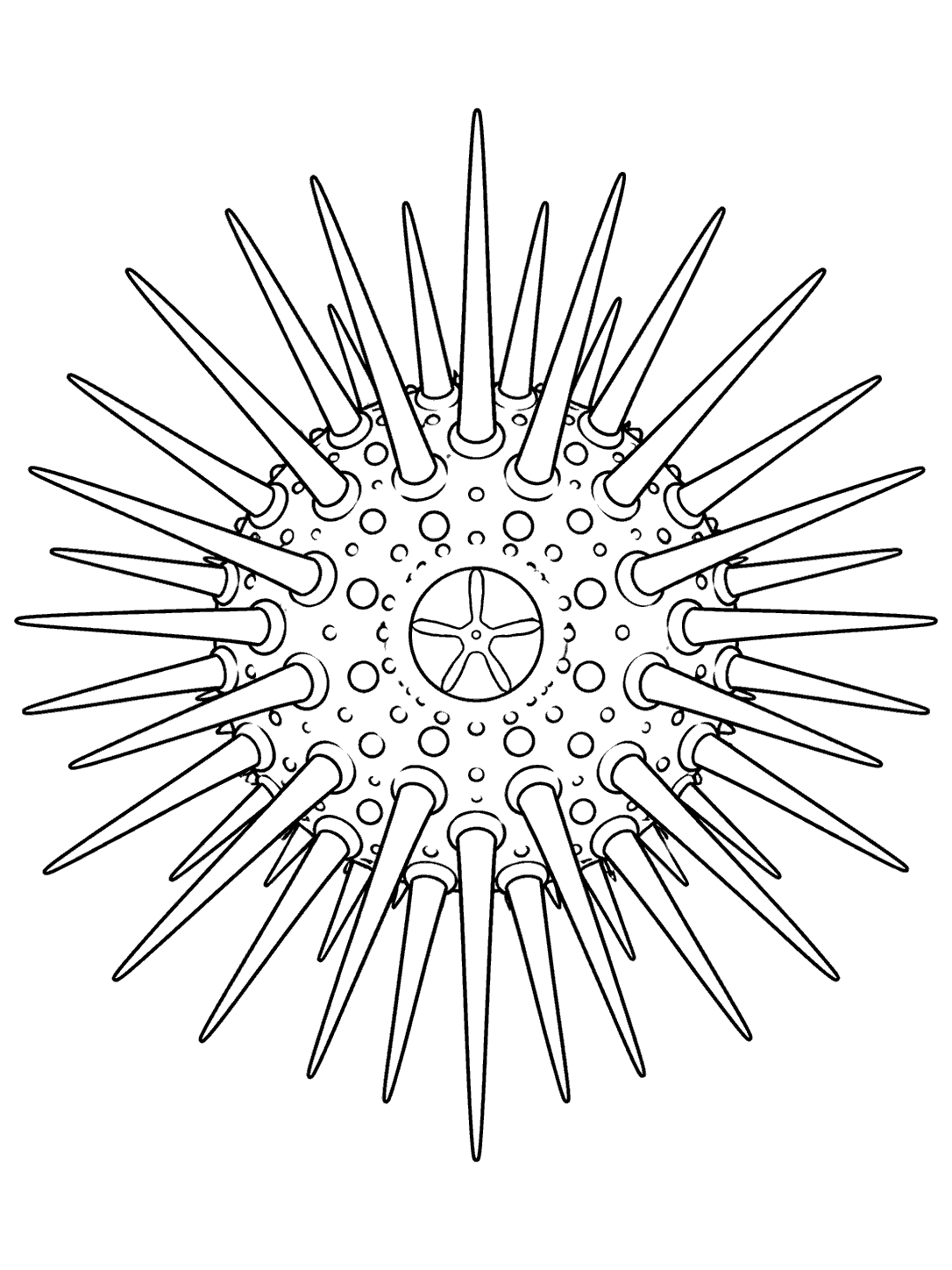 Printable sea urchin coloring page with a round body and long spreading spines