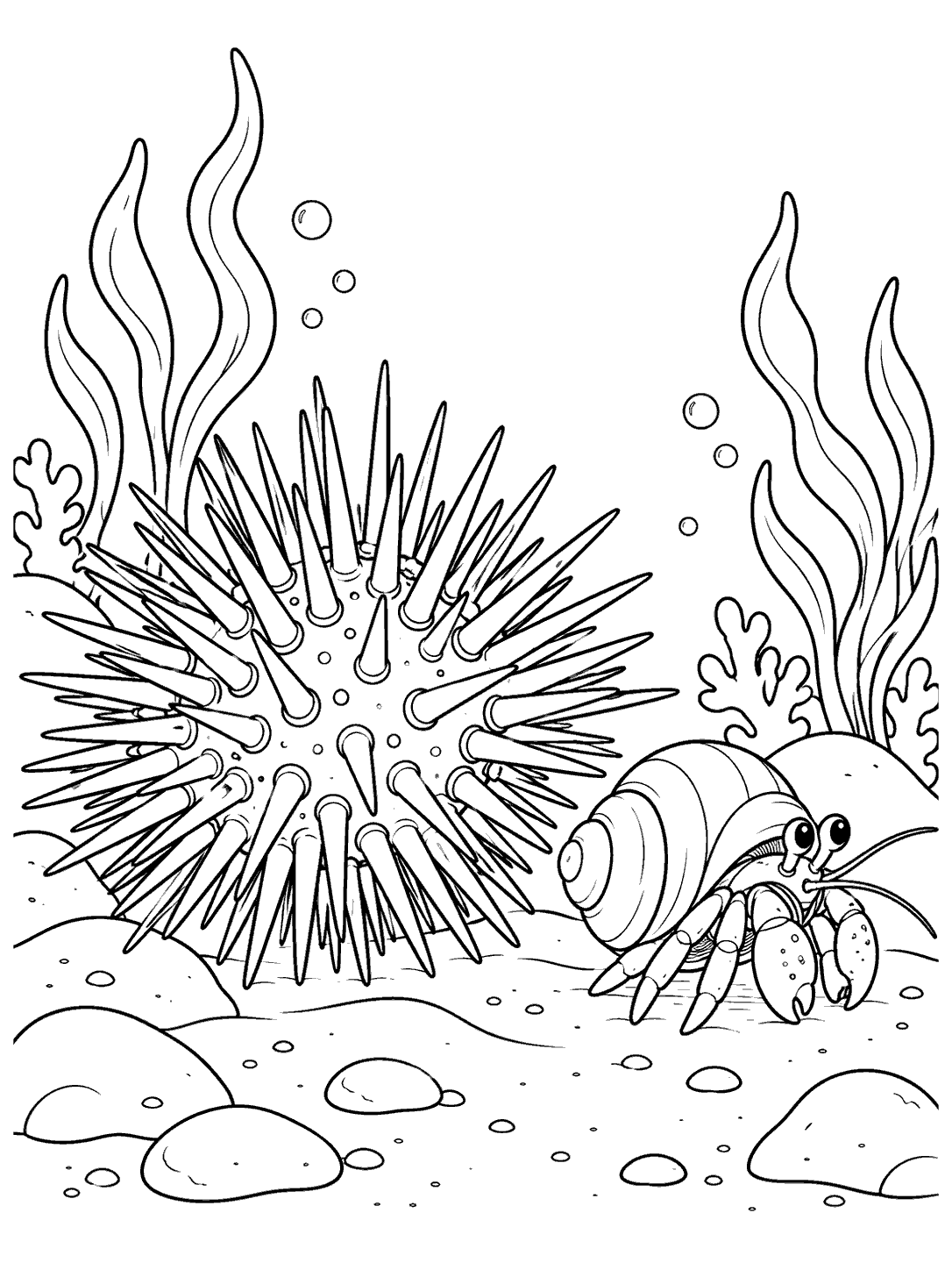 Sea urchin and hermit crab coloring page with seaweed, bubbles, and a gently curved seabed.