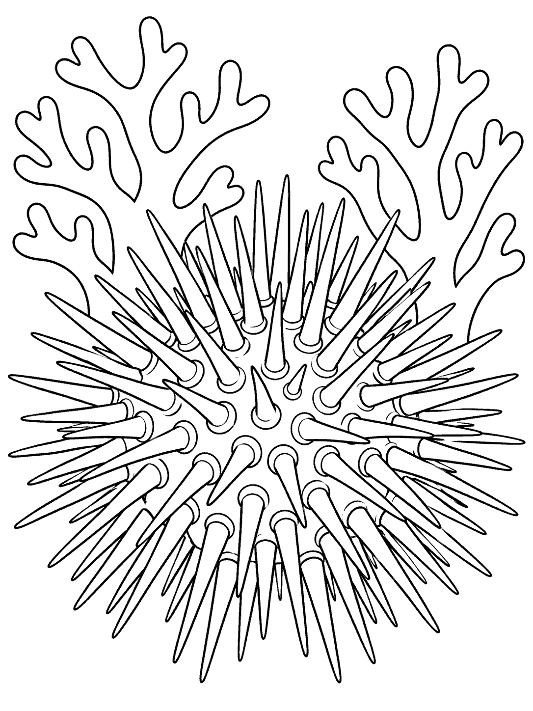 A large spiny sea urchin in front of branching coral on a black-and-white coloring page.