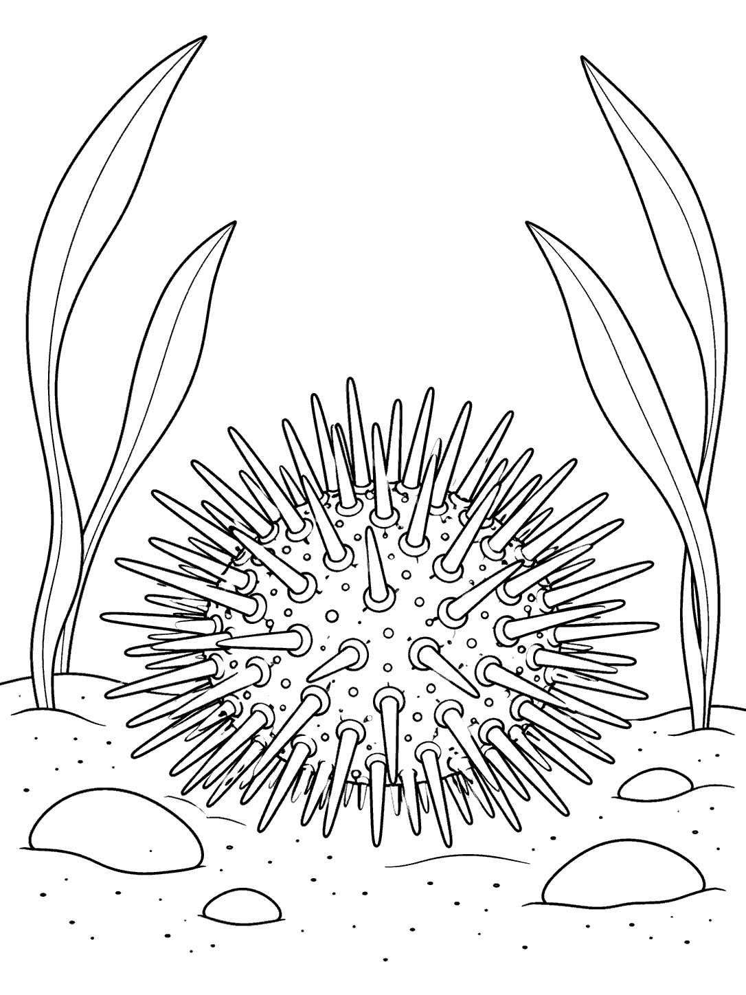 Sea urchin with long spines among four seagrass blades and small stones on the seafloor, in a coloring page.