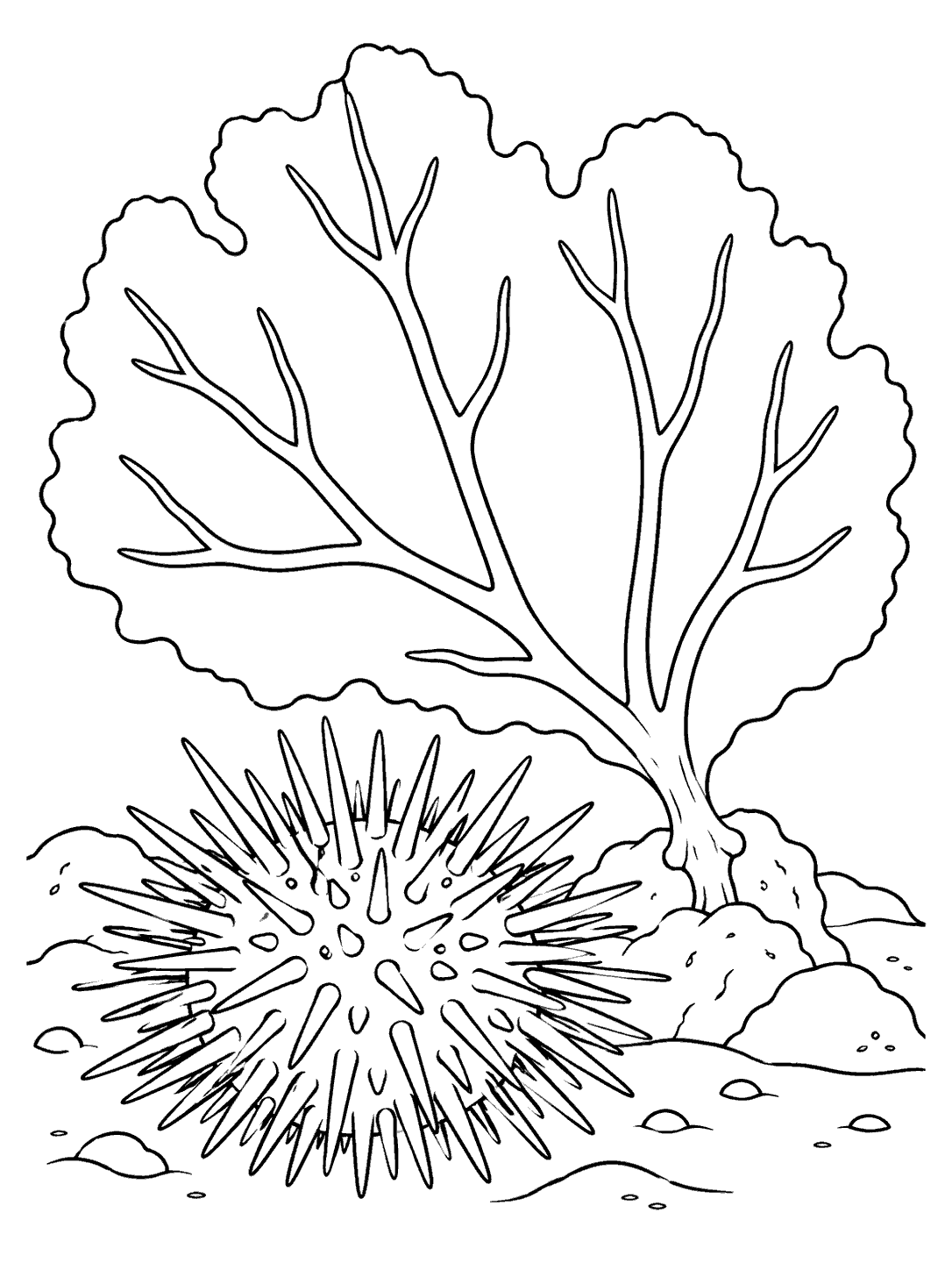 Sea urchin beneath a branching sea fan on a black-and-white coloring page