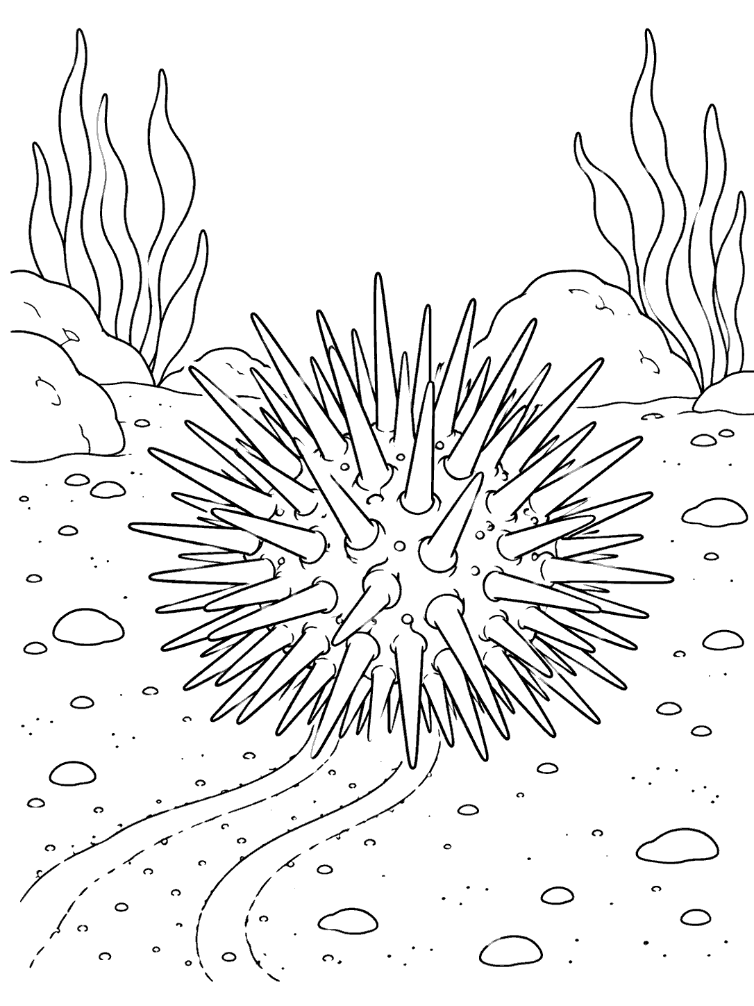 Sea urchin with long spines on a sandy seafloor coloring page, with a curved trail and underwater plants in the background.