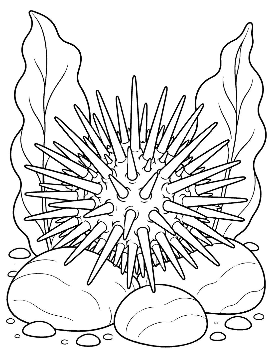 Sea urchin with broad underwater leaves and rounded stones in a black-and-white coloring page.