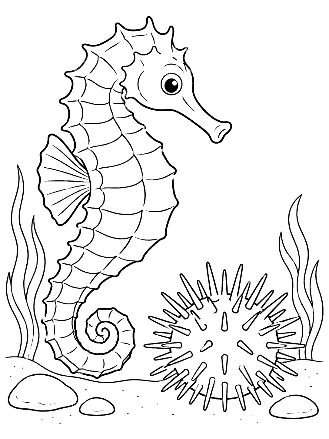 Seahorse beside a round sea urchin, with seaweed and stones, in a black-and-white coloring page.