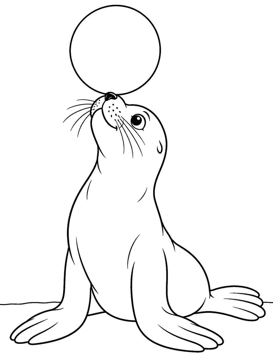 Seal balancing a ball on its nose coloring page