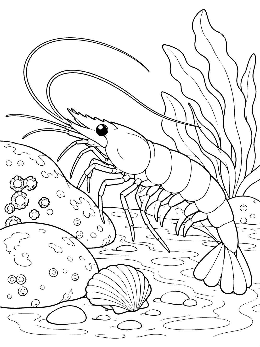 Printable black-outline shrimp exploring a tide pool
