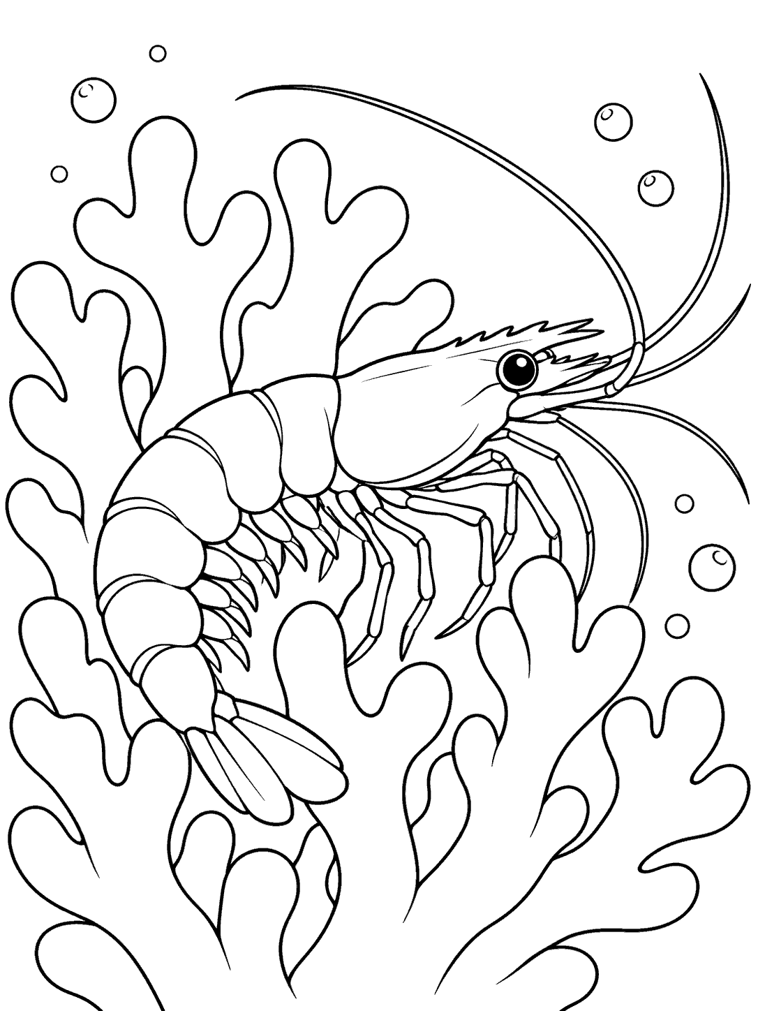 Printable shrimp nestled among coral branches