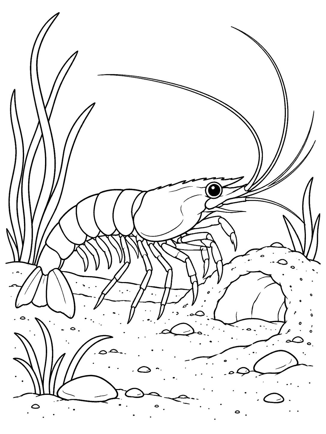 Printable black-and-white coloring page showing a shrimp beside a sandy burrow, with seagrass and pebbles.