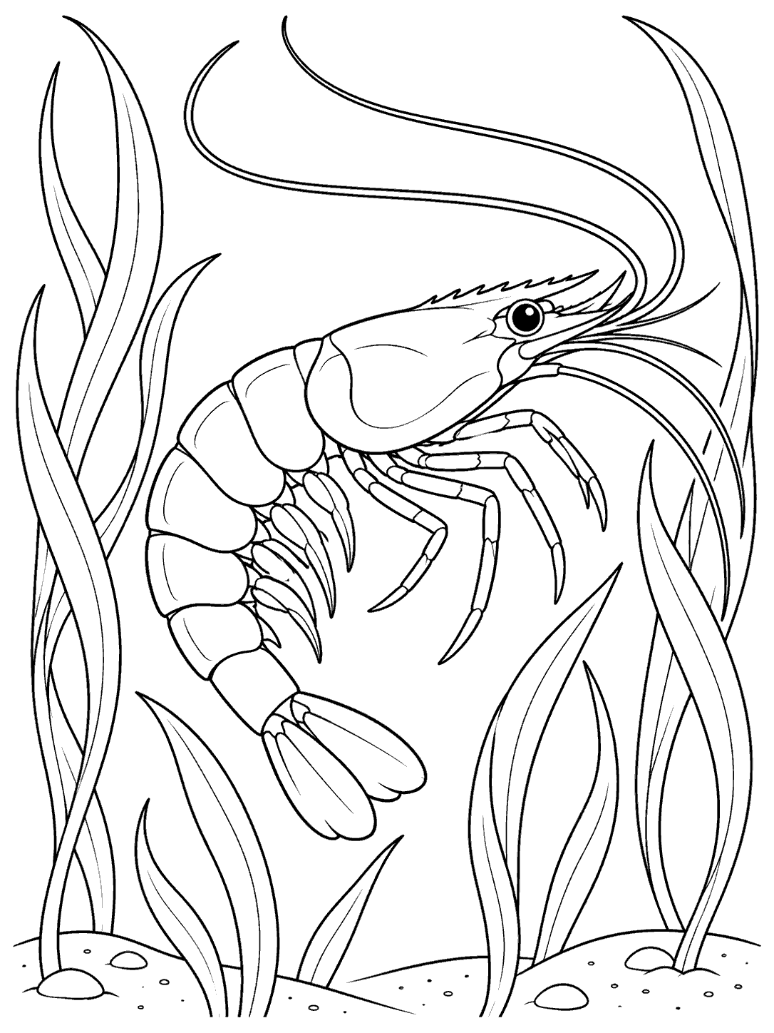 Printable line art of a shrimp suspended among flowing seagrass leaves above a sandy seabed.