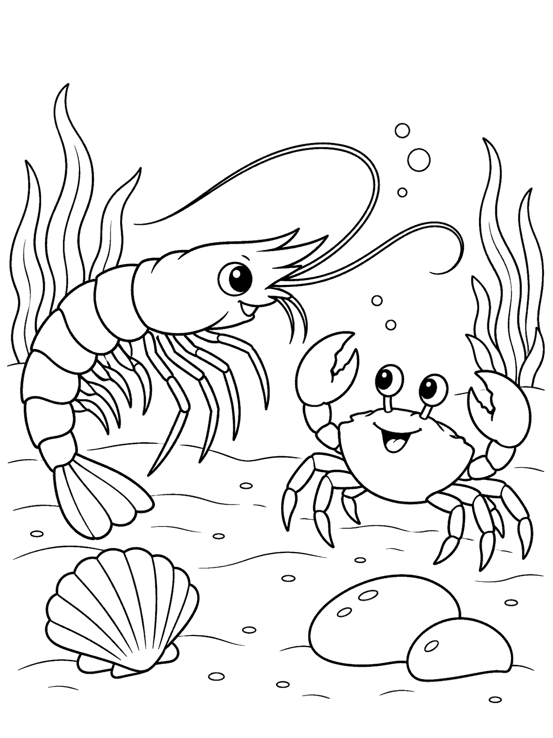 Printable black-and-white coloring page showing a shrimp facing a smiling crab, with seaweed, a shell, and two rounded stones.