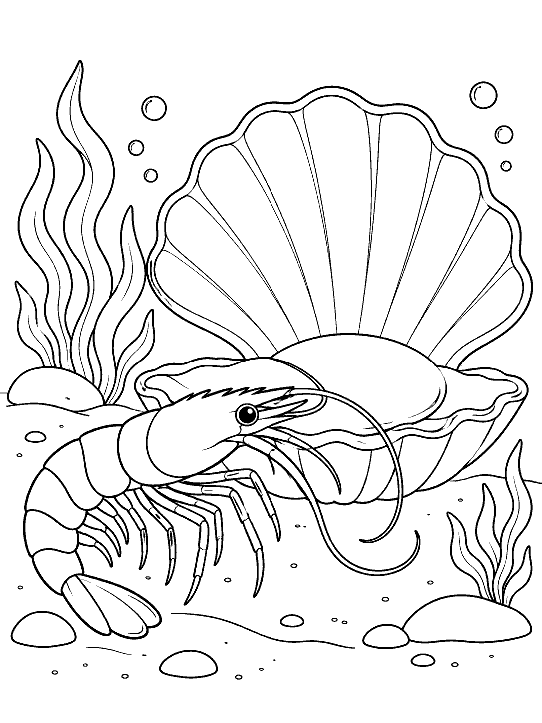 Black-and-white coloring page showing a shrimp in front of a broad-ridged open clam shell, with seaweed, bubbles, and a simple seabed.