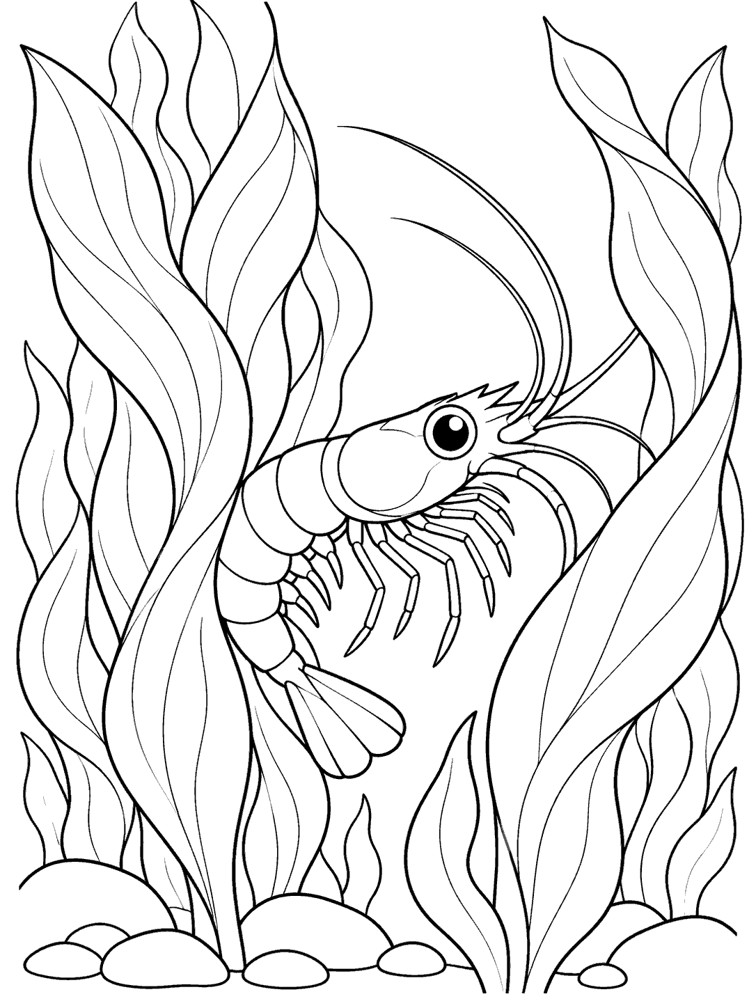 Black and white coloring page showing a shrimp among flowing kelp fronds, with small stones at the bottom.