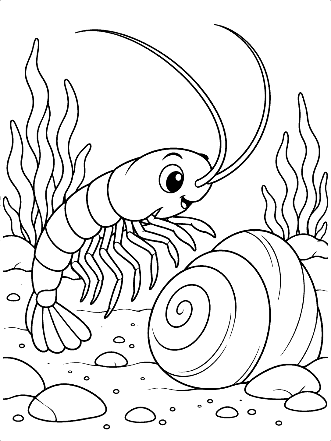 Printable black-and-white coloring page showing a shrimp beside a large spiral seashell, with sea plants and stones around them.