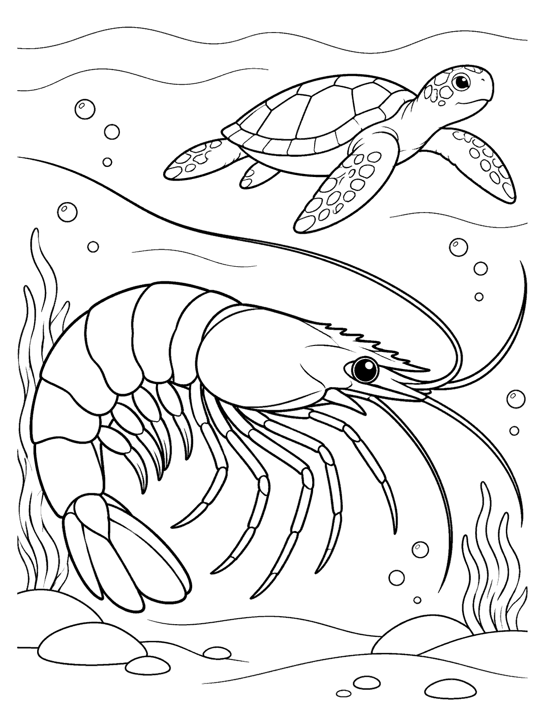 Printable shrimp swimming near a sea turtle
