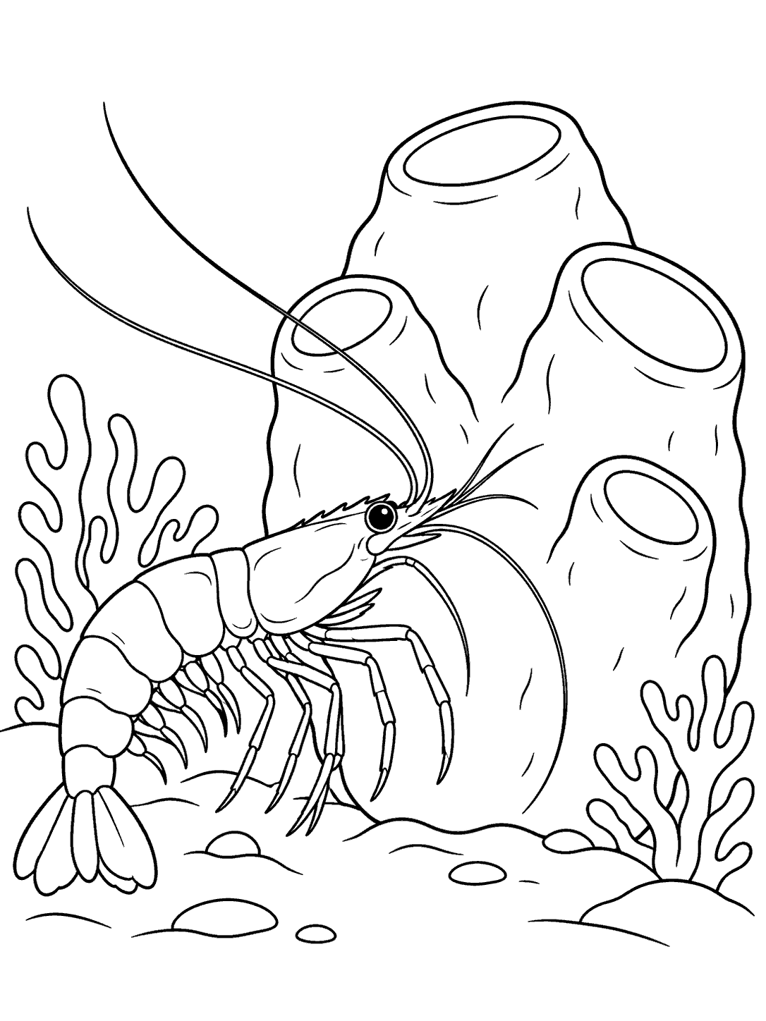 Printable shrimp exploring a sea sponge