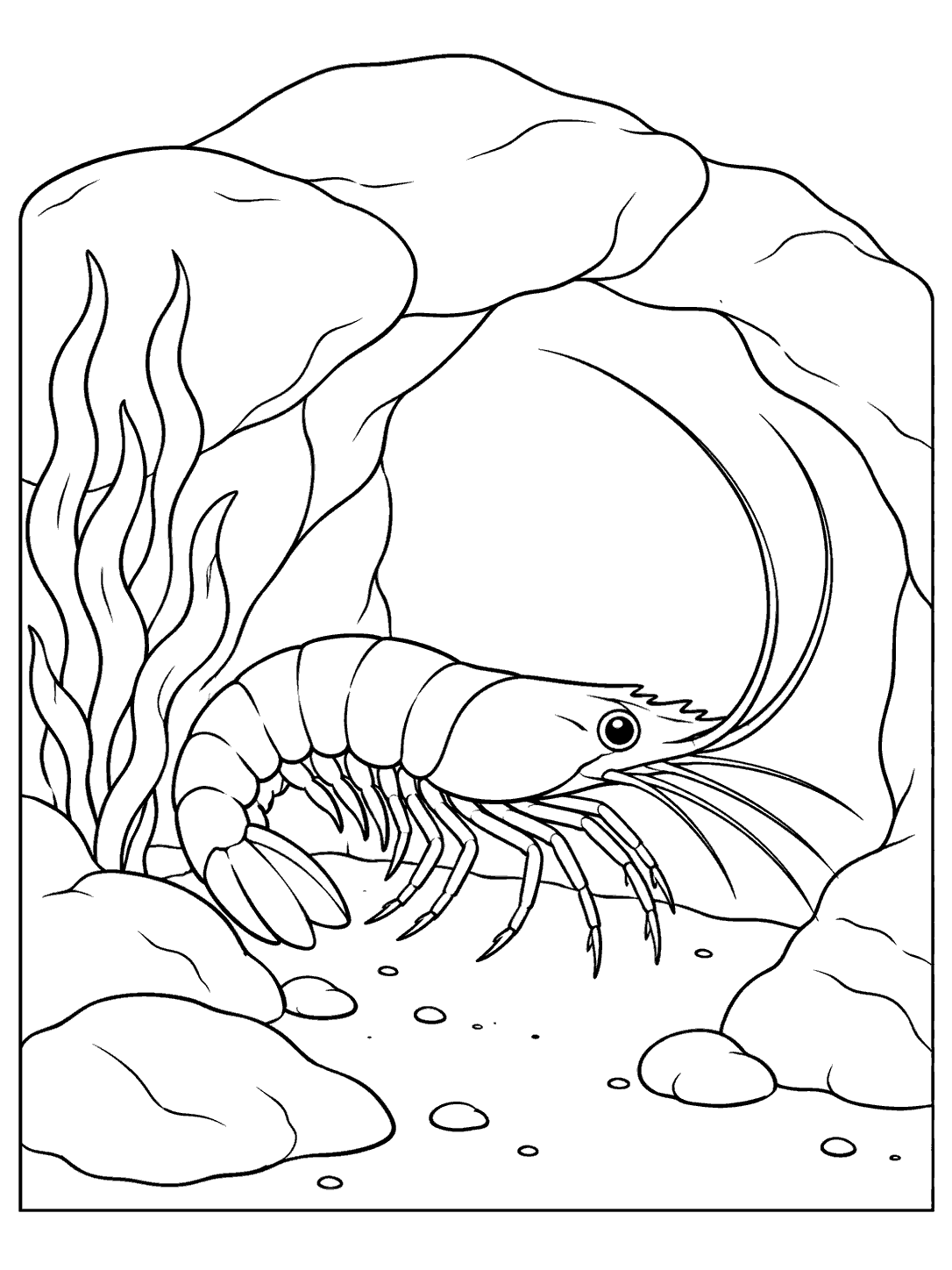 Printable black-and-white coloring page showing one shrimp resting in a small underwater cave framed by rocks and seaweed.