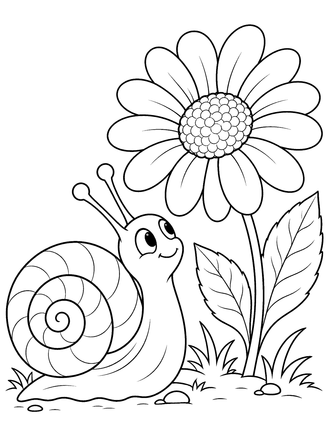 A smiling snail looks up at an oversized daisy, with leaves and a short ground line.