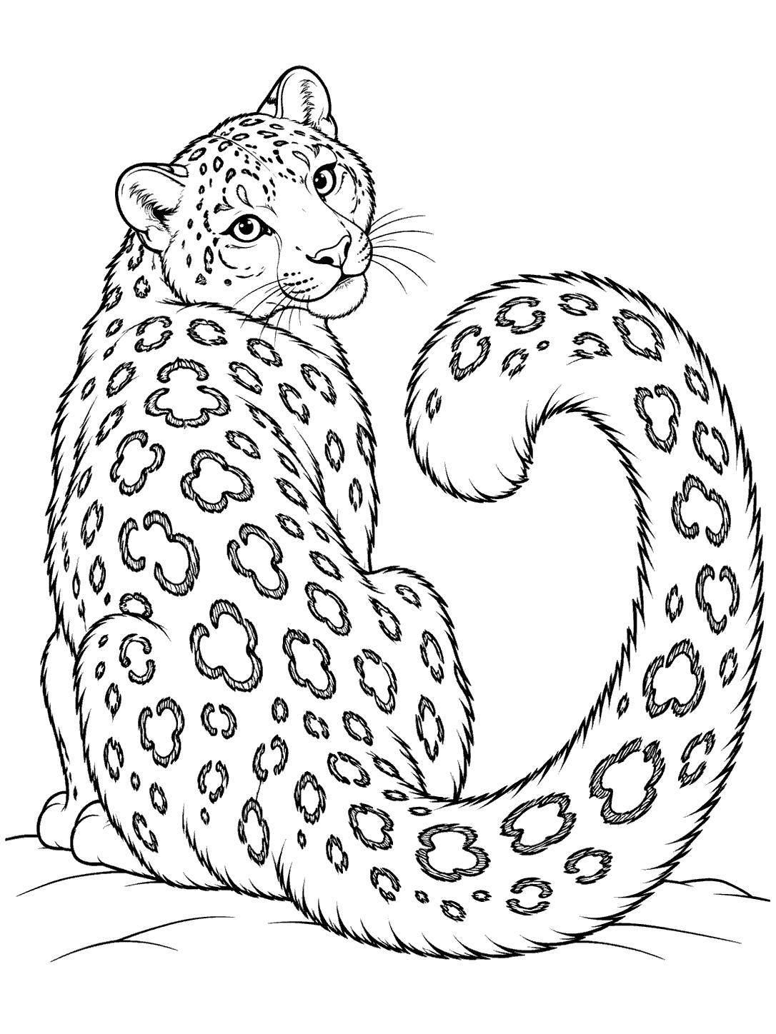 Seated snow leopard looking back beside its looped tail coloring page
