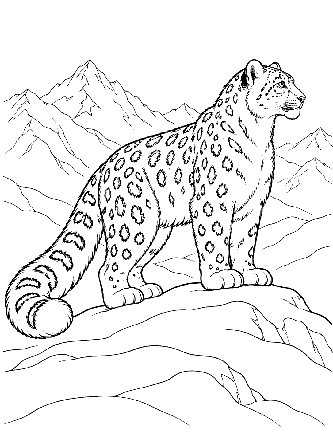 Black-and-white snow leopard standing on a snowy ridge with distant mountain peaks behind it, coloring page