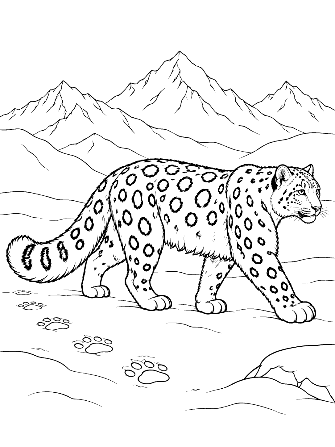Snow leopard walking through snow with paw prints coloring page