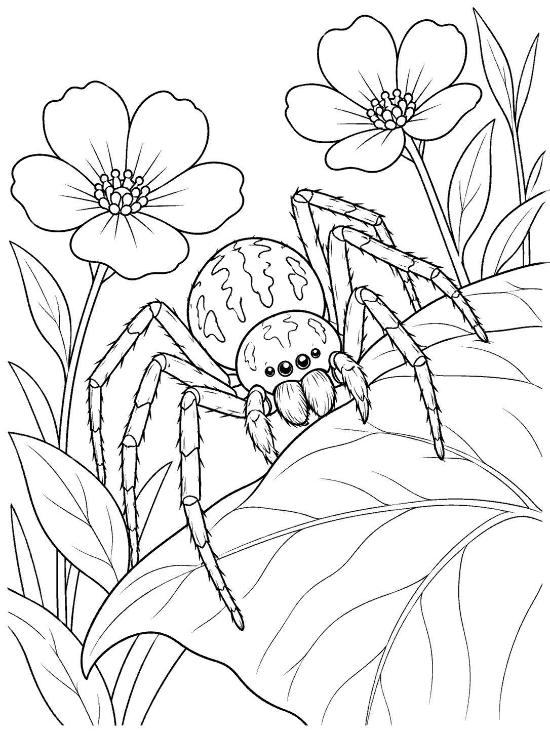 Spider climbing a leaf among flowers