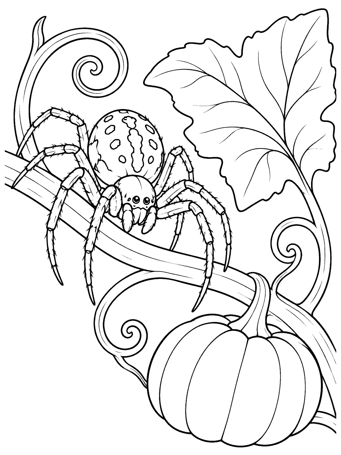 Eight-legged spotted spider on a curling vine beside a pumpkin and large leaf