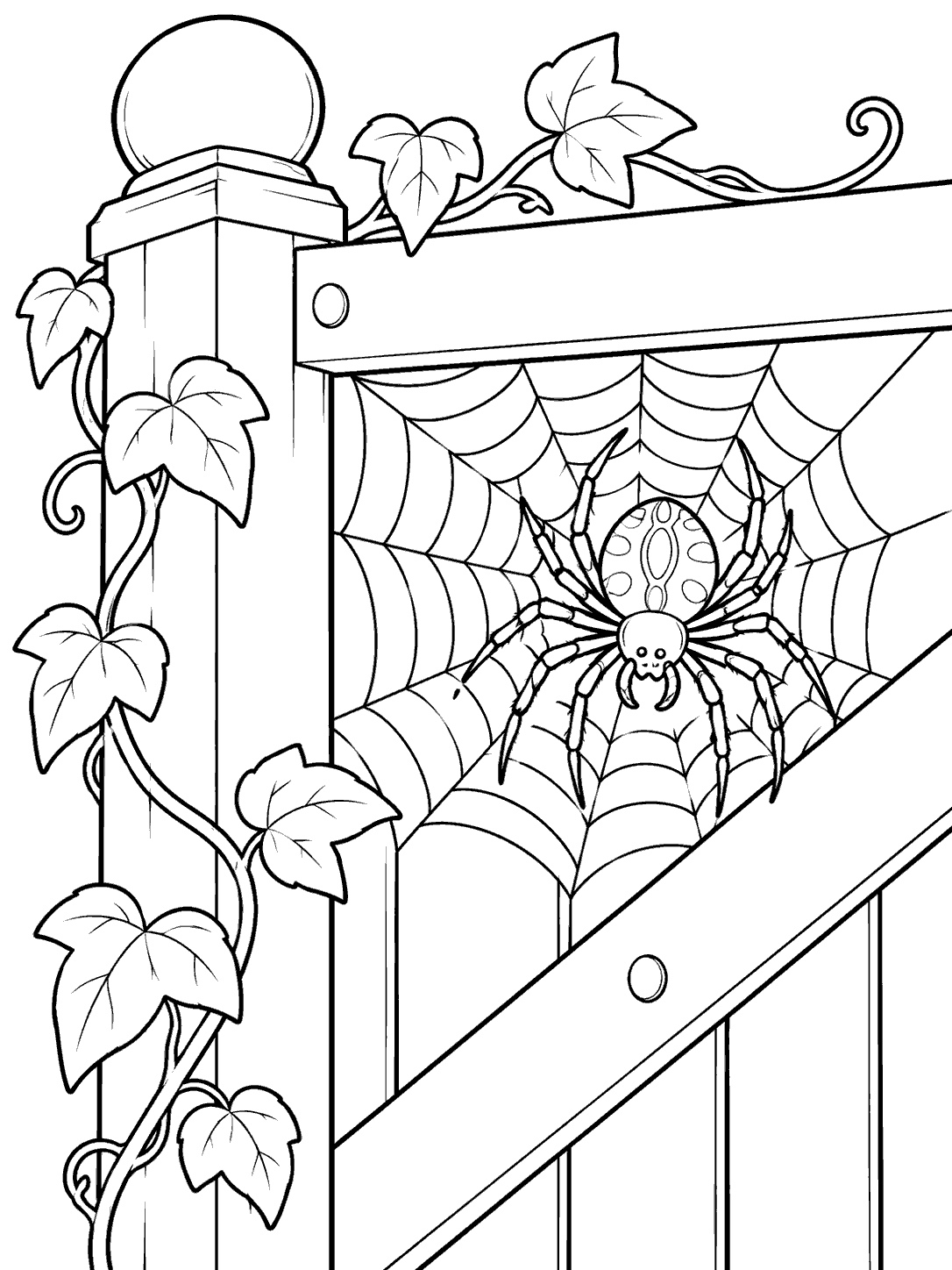 Eight-legged spider with unfilled body markings in a large web across a vine-covered garden gate.