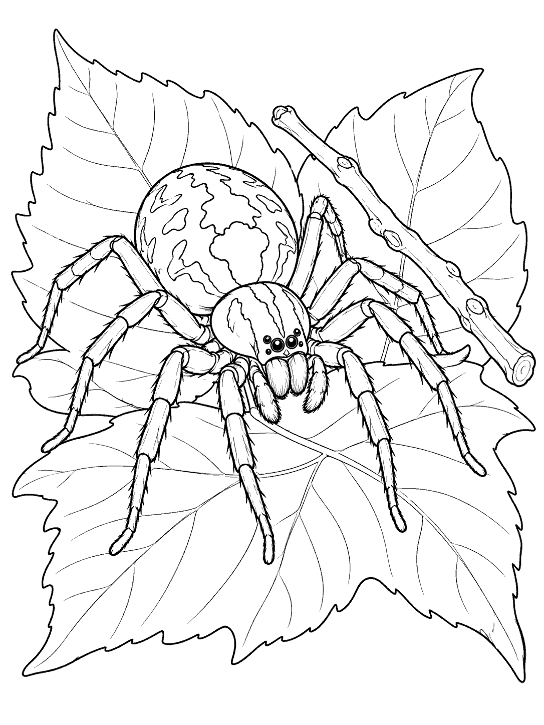 A large eight-legged spider walks across overlapping leaves beside a twig.