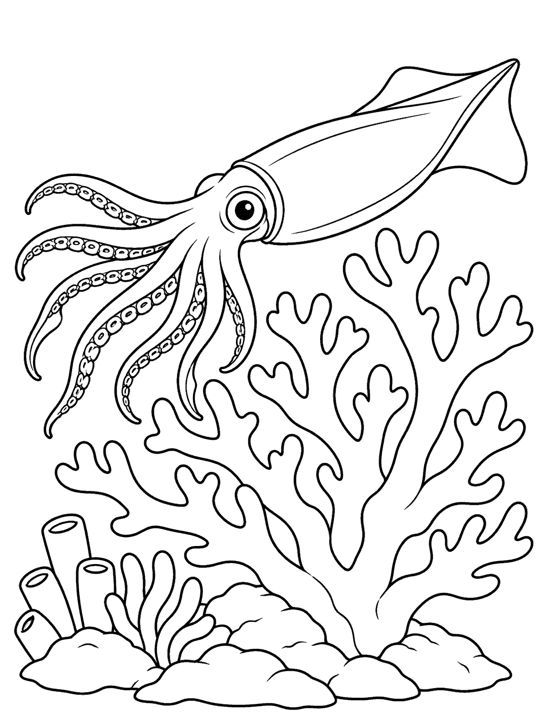 Squid hovering beside branching coral coloring page