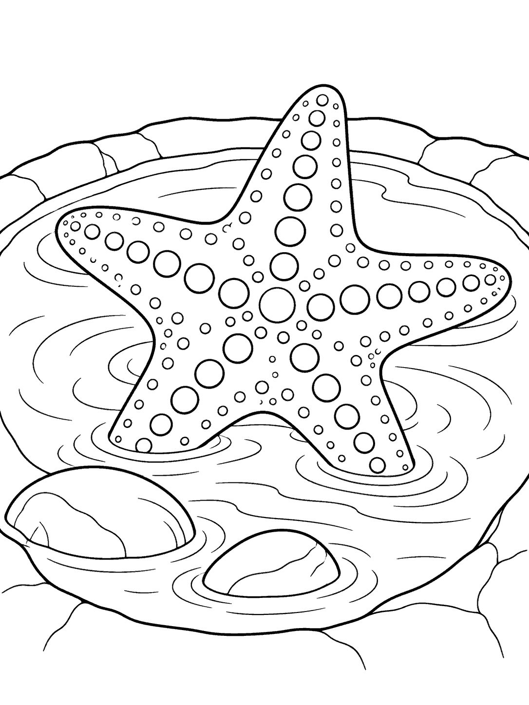 Black-outline coloring page showing a large spotted starfish in a rippling tide pool with two stones.