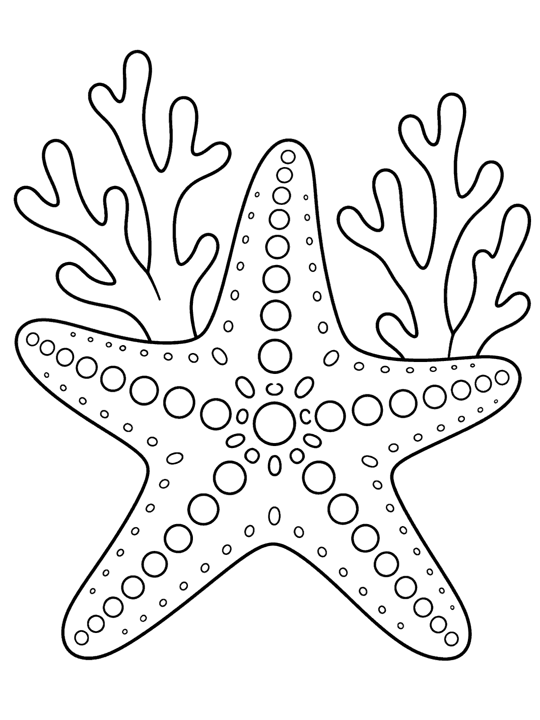 A large five-armed starfish with circular patterns in front of two branching coral forms, drawn in black outlines on white.