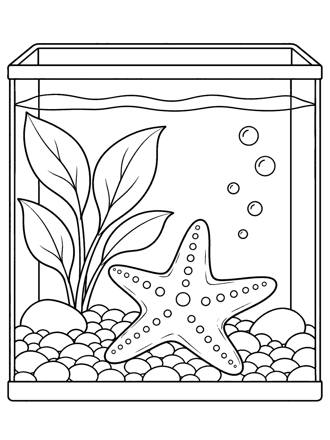 Black-outline coloring page of a starfish on aquarium gravel beside a broad-leaf plant, with bubbles in a rectangular tank.