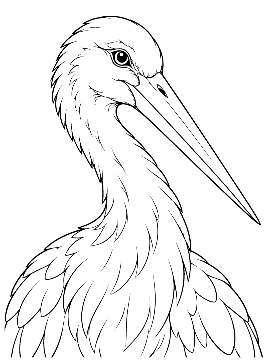 Black-and-white coloring page with a close portrait of a stork, its long straight bill angled down and layered feathers across its curved neck and shoulders.
