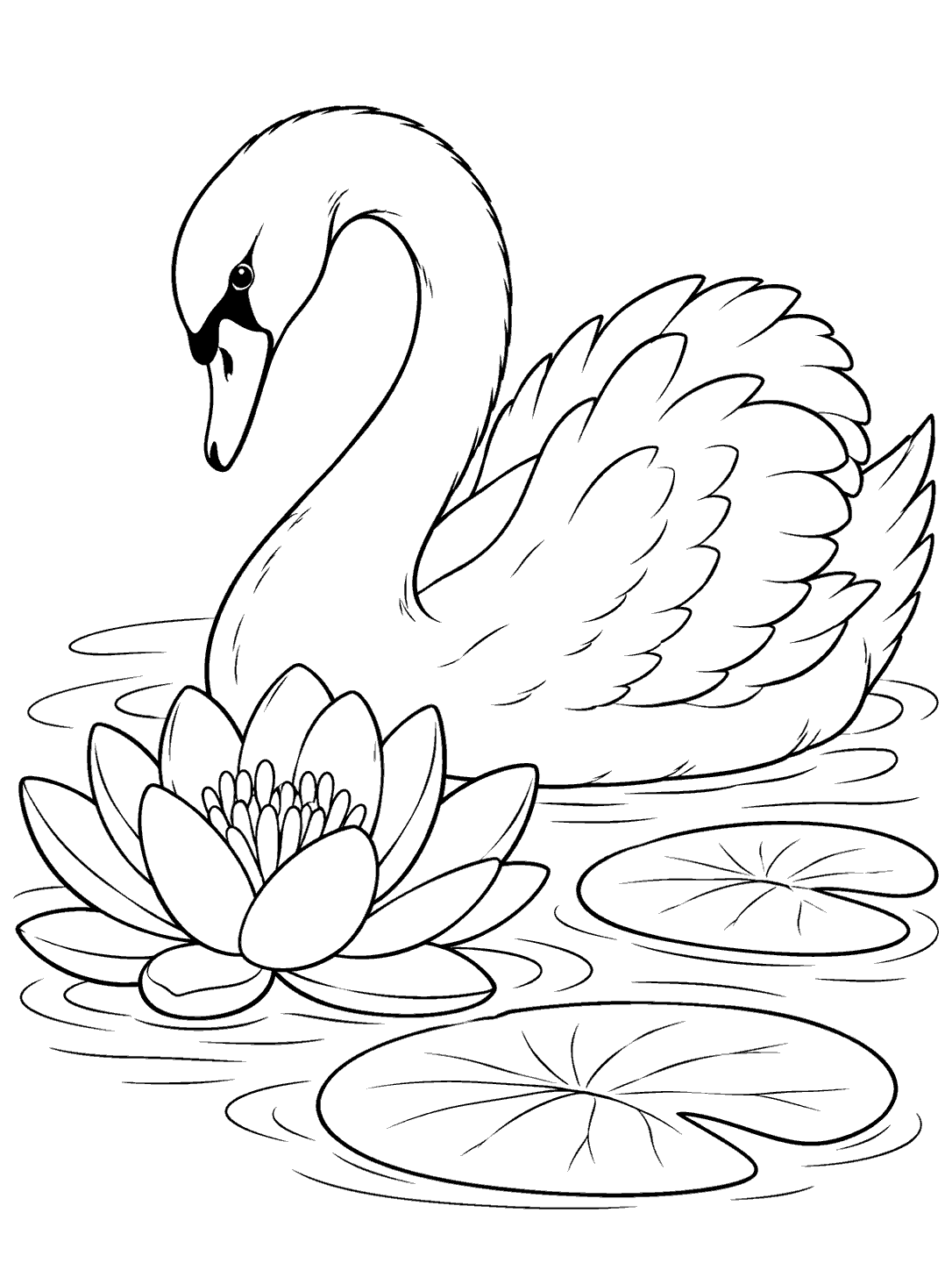 Black and white swan coloring page with a large water lily, two lily pads, and rippling water.