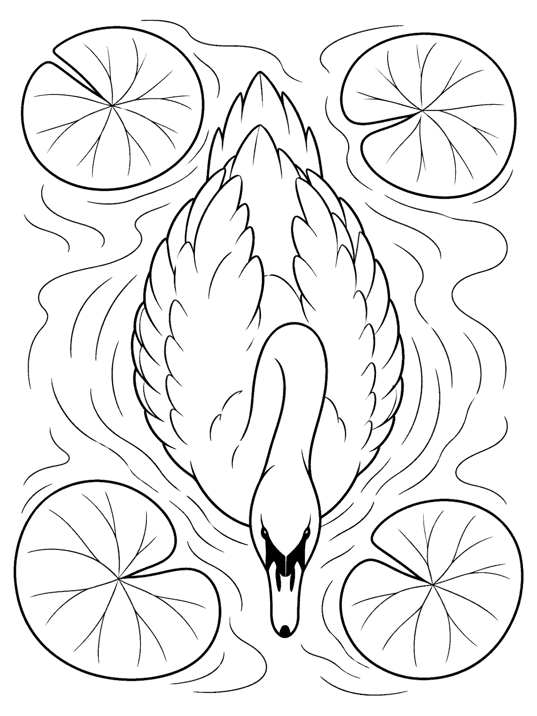 Swan coloring page showing one swan from above among four lily pads and rippling water.